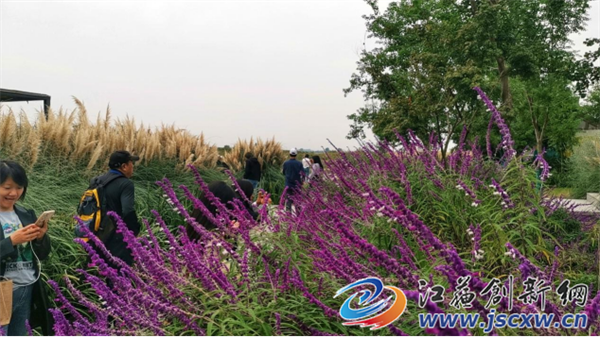 “水韵江苏·美好乡村”看点：农文旅赋能乡村振兴