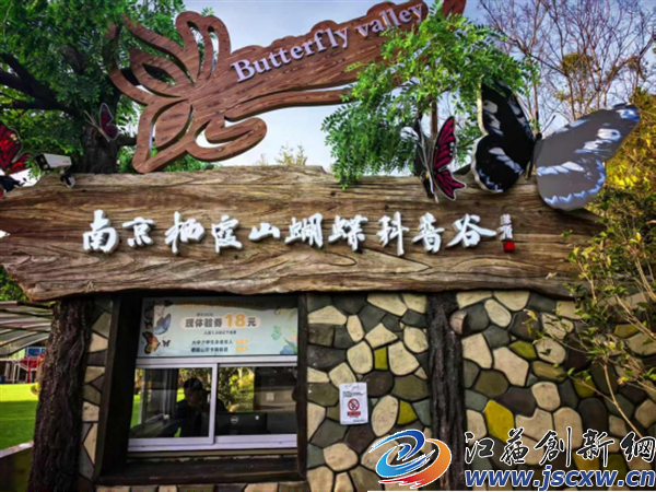 初冬狂想曲：栖霞的红叶与蝴蝶 ——南京人的秋栖霞：红枫似火，蝶谷研学正当时