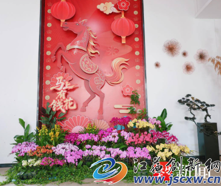 兰香伴年味！第七届花卉文化嘉年华1月16日启幕