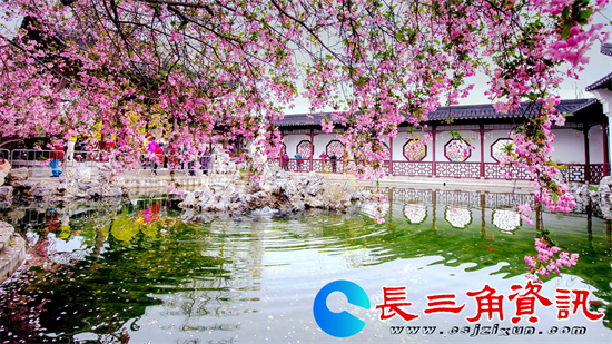 醉美海棠花+任康+13655175855_看图王_副本